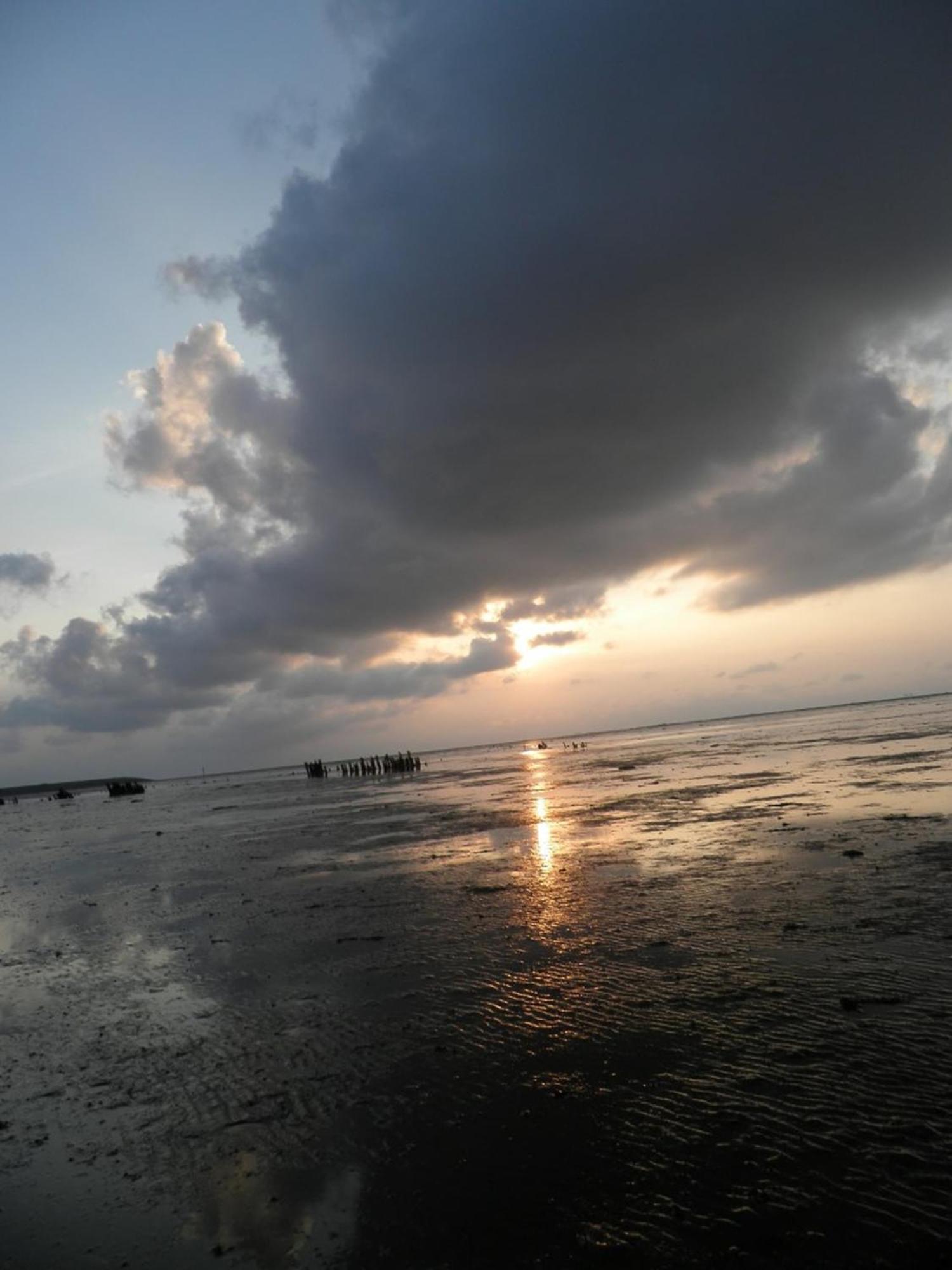 8 Pers House 'Capitein Theis' With Seaside In Front Of The Lauwersmeer Anjum Exterior photo