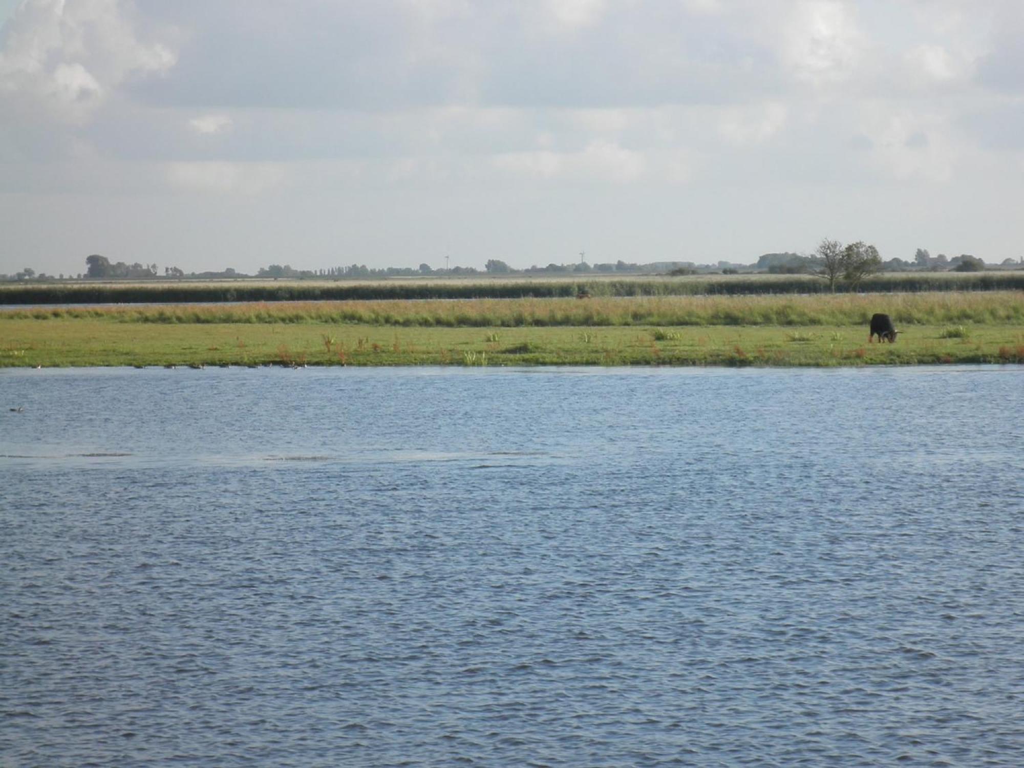 8 Pers House 'Capitein Theis' With Seaside In Front Of The Lauwersmeer Anjum Exterior photo